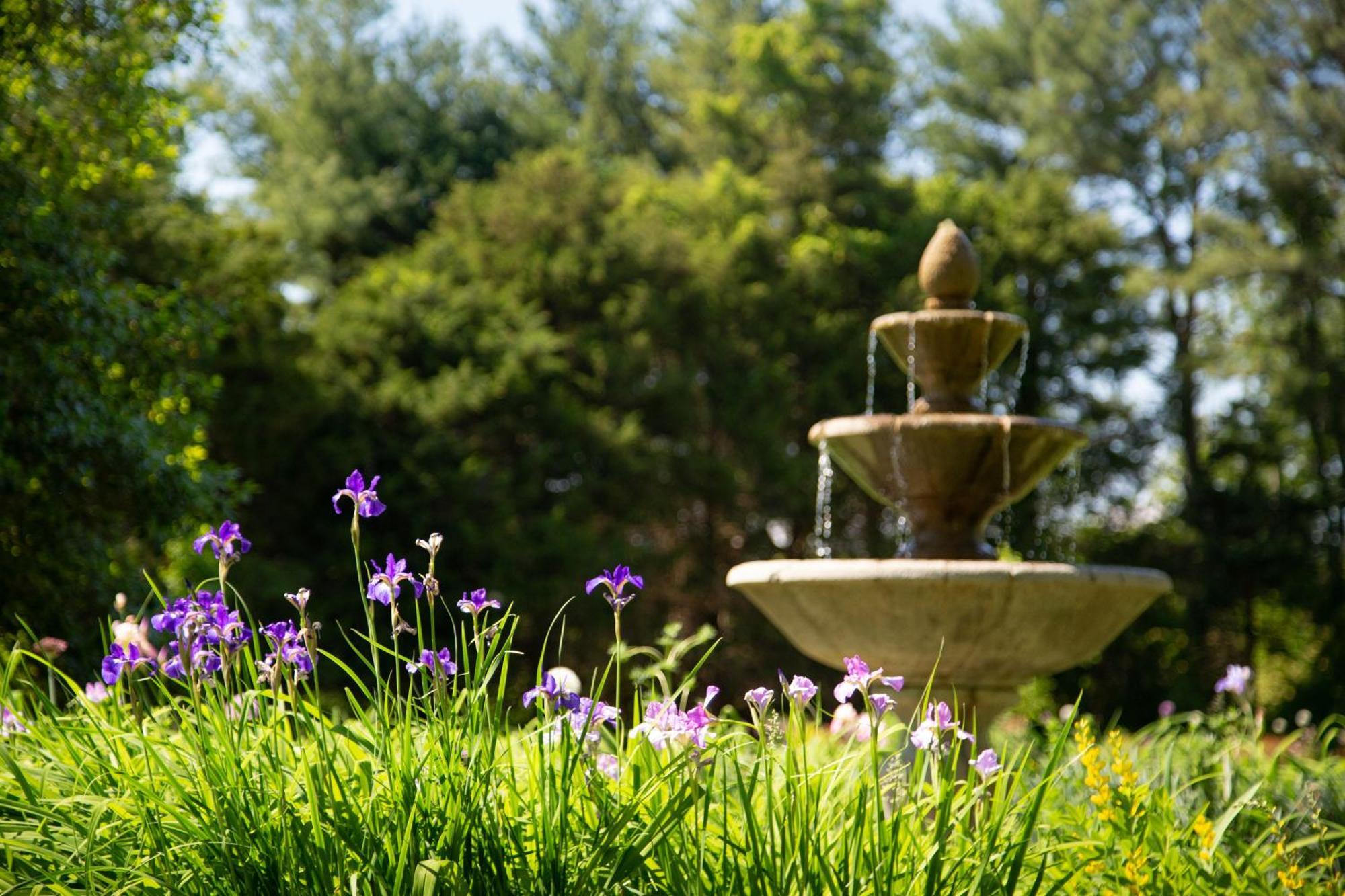 Brampton 1860 Bed and Breakfast Chestertown Buitenkant foto